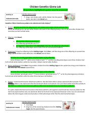 Student Exploration Chicken Genetics Gizmo Answer Key Explorelearning 