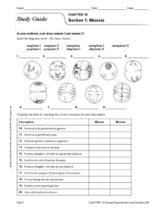 Study Guide Sexual Reproduction And Genetics English Editable