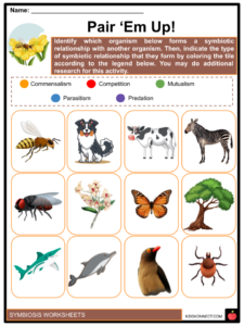 Symbiosis Facts Worksheets Meaning Relationships