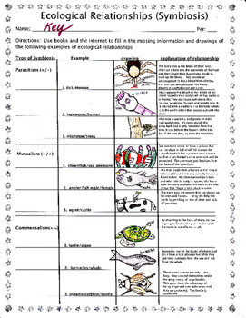 Symbiosis In Ecological Relationships By Biology Buff TpT