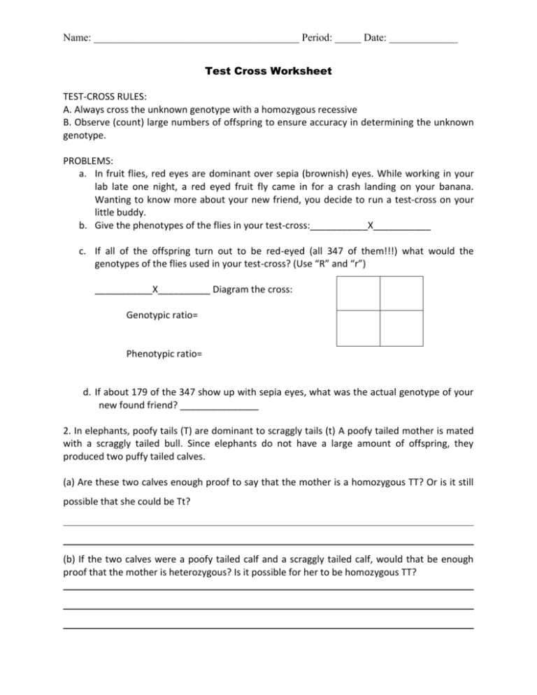 Test Cross Worksheet Genetics Practice Problems