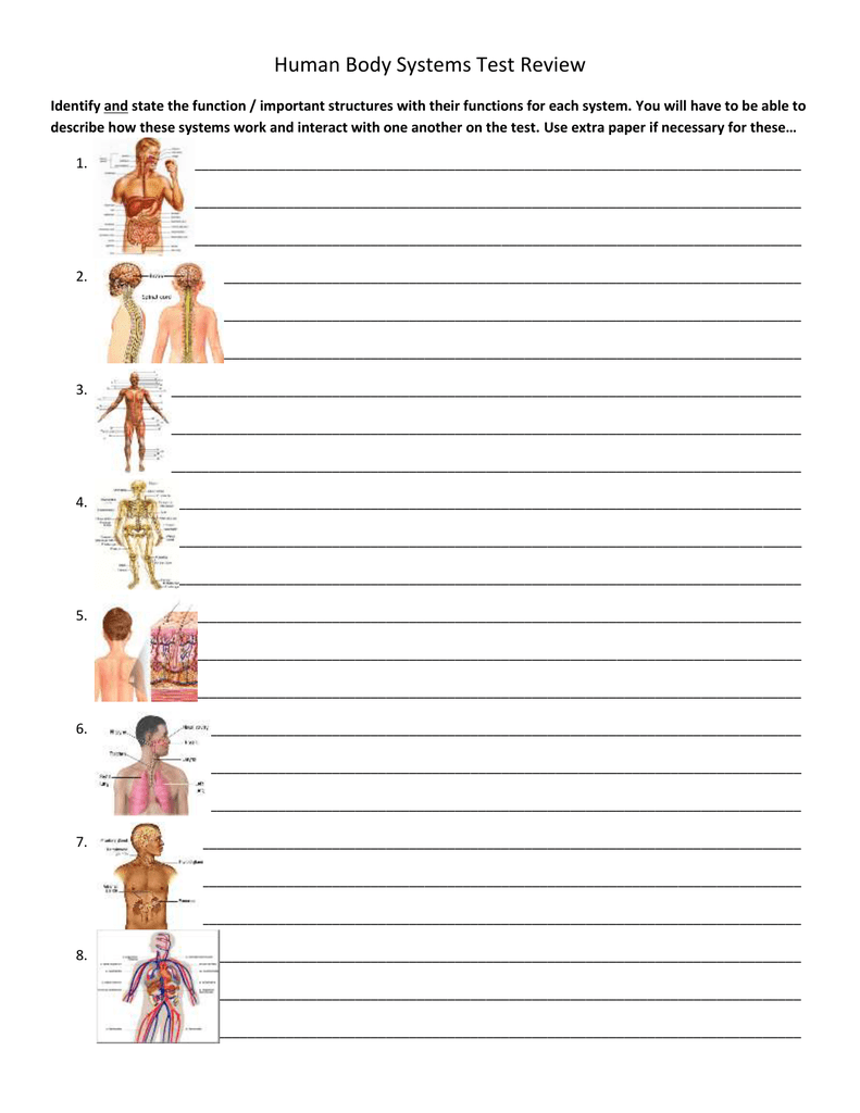 Test Review Human Body Systems