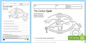 The Carbon Cycle Worksheet Answers Carbon And Nitrogen Cycle