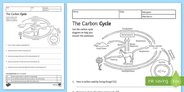 The Carbon Cycle Worksheet Answers Carbon And Nitrogen Cycle 