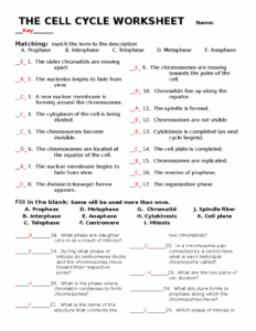 The cell cycle worksheet With Answers THE CELL CYCLE WORKSHEET Name