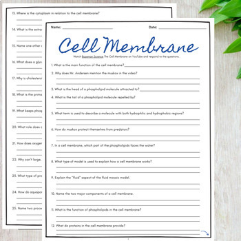 The Cell Membrane Comprehensive Worksheet Bozeman Science TPT
