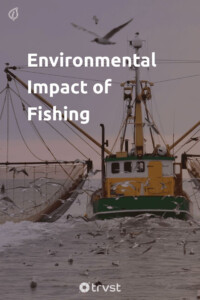 The Environmental Impact Of Fishing