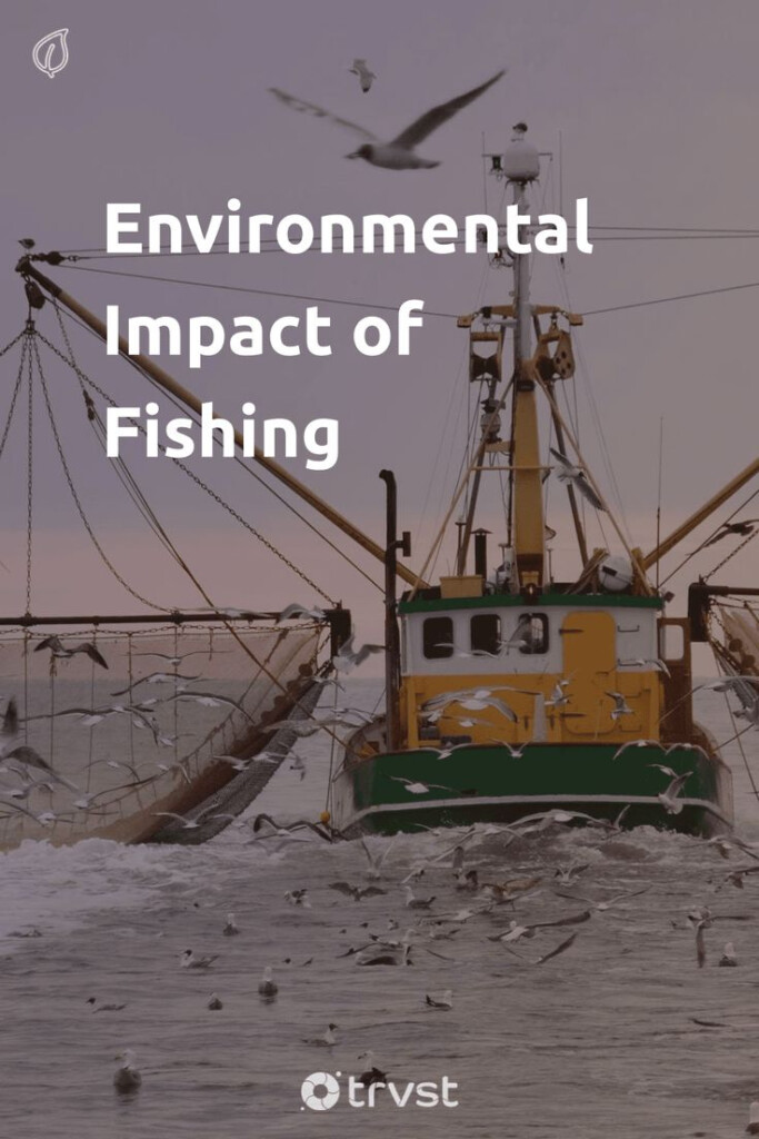 The Environmental Impact Of Fishing