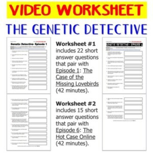 The Genetic Detective Genetic Genealogy Two Video Worksheets