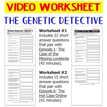The Genetic Detective Genetic Genealogy Two Video Worksheets 