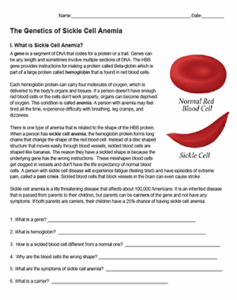 The Genetics Of Sickle Cell Anemia And Protein Synthesis