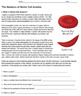 The Genetics Of Sickle Cell Anemia KEY By Biologycorner TPT