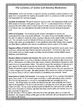 The Genetics Of Sickle Cell Anemia Worksheet By Biology Buff TpT