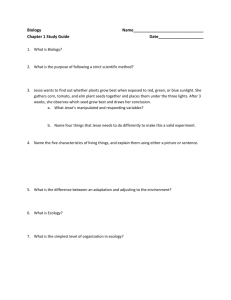 The Great Big Ecology Review Worksheet 