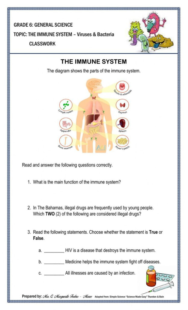 The Immune System Classwork Worksheet Cells Worksheet Matter 