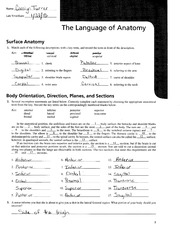 The Language Of Anatomy Review Sheet Exercise 1 Answer Key Exercise 
