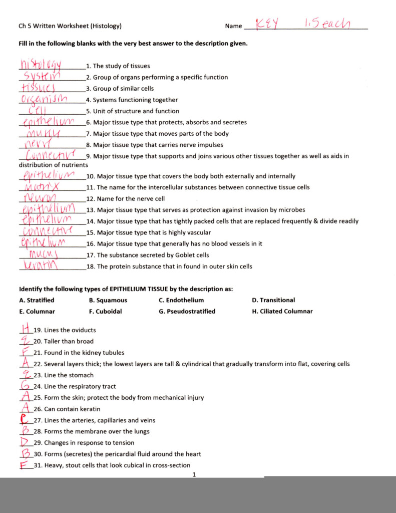 The Language Of Anatomy Worksheet Answer Key Anatomy Worksheets