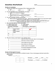 The Language Of Genetics Worksheet Language Worksheets