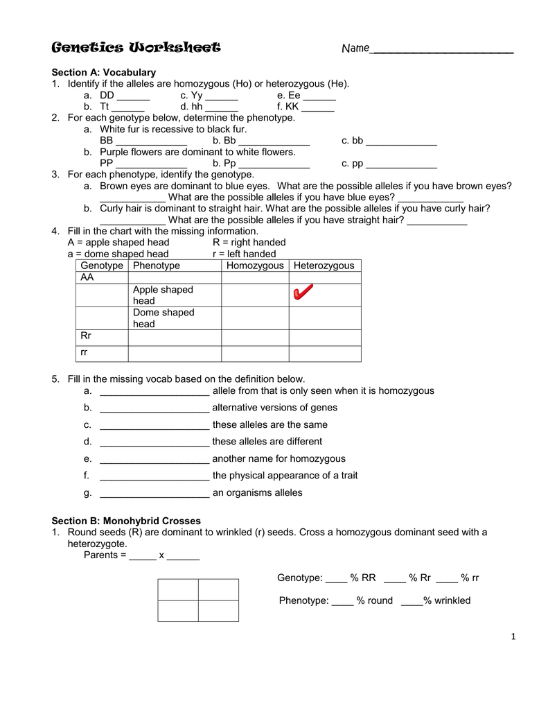 The Language Of Genetics Worksheet Language Worksheets
