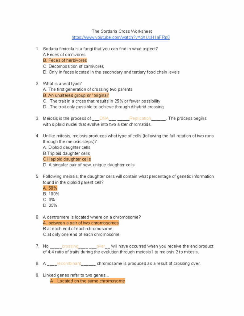 The Sordaria Cross Worksheet Answer Key The Sordaria Cross Worksheet 