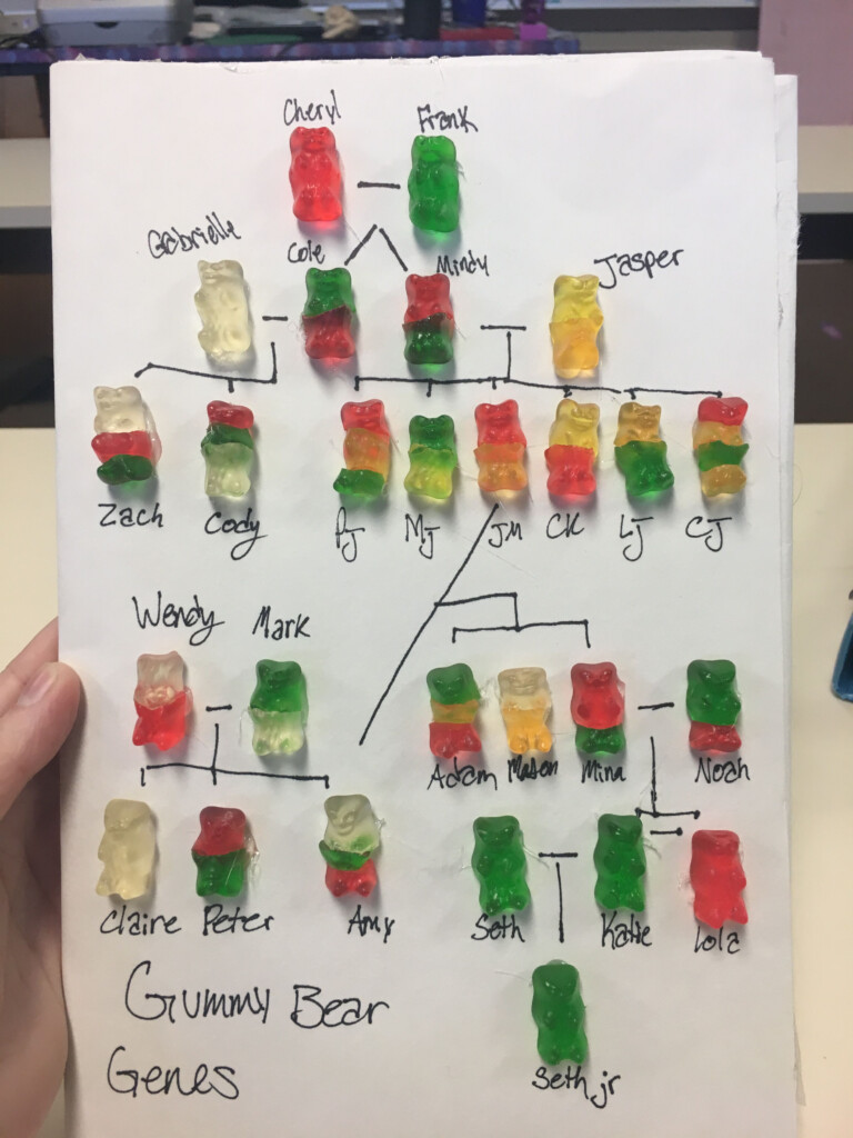 This Simple Gummy Bear Experiment Is The Perfect Way To Teach Complex 
