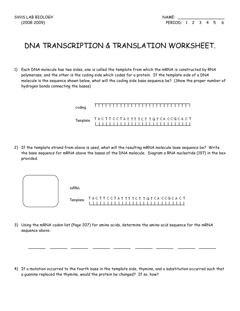 Transcription And Translation Worksheet Answer Key Biology Db excel
