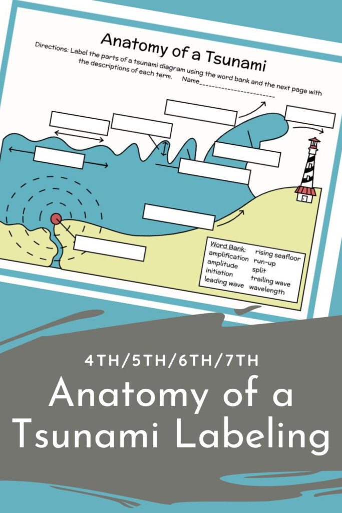 Tsunami Vocabulary And Terminology Labeling Diagram