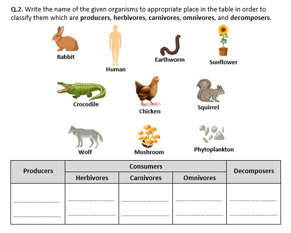 Types Of Consumers Worksheet