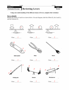 Types Of Levers Worksheet Physical Science