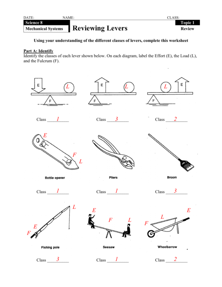 Types Of Levers Worksheet Physical Science