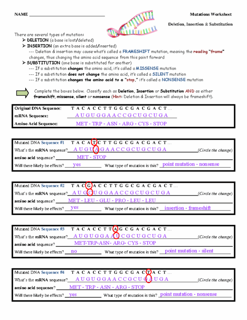 Types Of Mutations Answer Key Worksheet