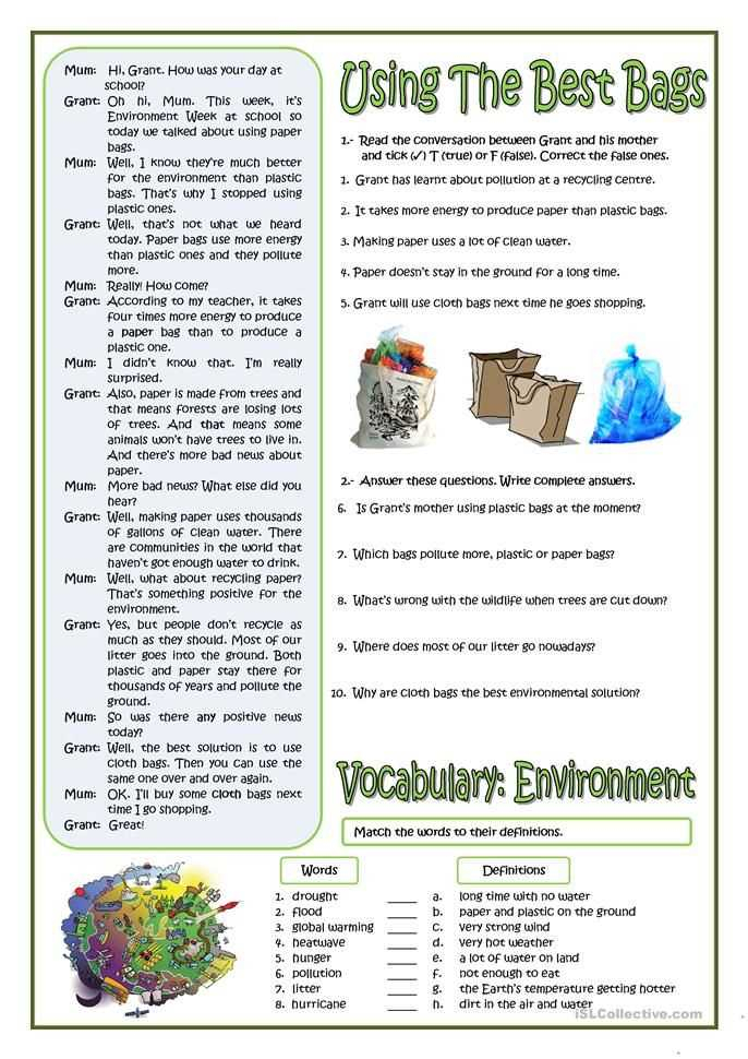 Understanding Ecology Interactions Unveiling Environment Worksheet Answers