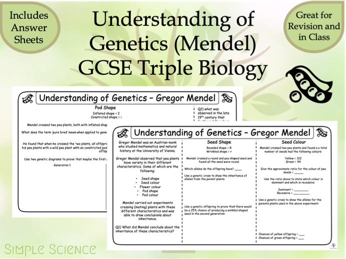Understanding Of Genetics Mendel Triple GCSE Biology Worksheets 