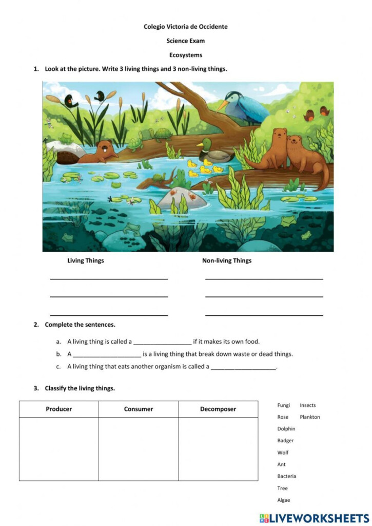 Unit 4 Science Exam Worksheet Ecosystems Lessons Teaching Ecosystems 