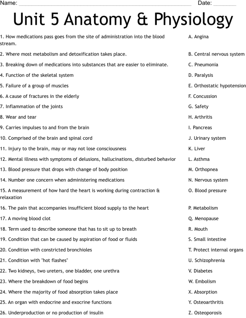 Unit 5 Anatomy Physiology Worksheet WordMint