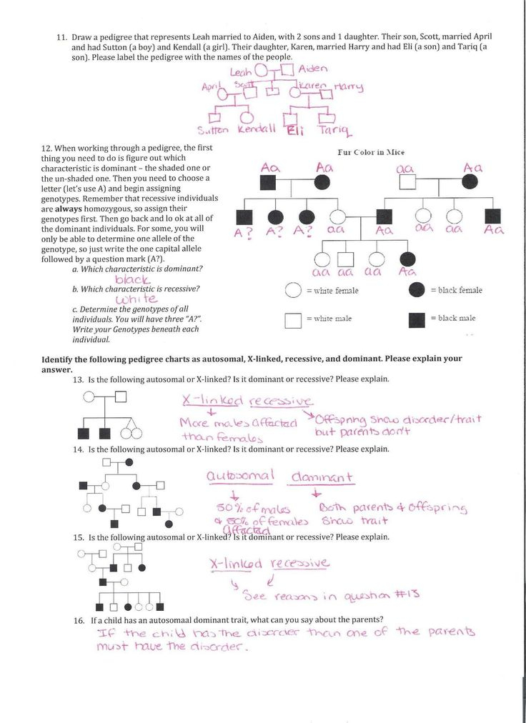 Unlock The Secrets Of Genetics With This Answer Key