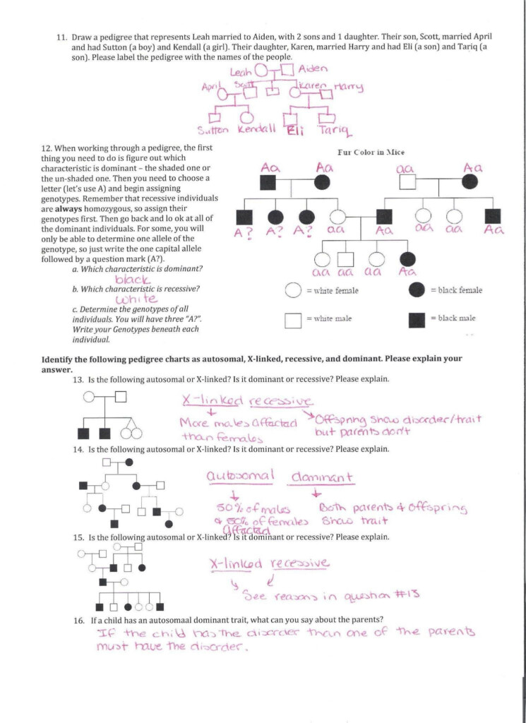 Unlock The Secrets Of Genetics With This Answer Key