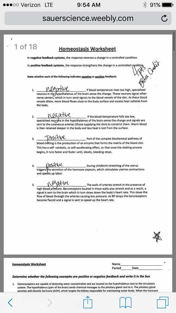 Unlock The Secrets Of Homeostasis With These Printable Worksheet 