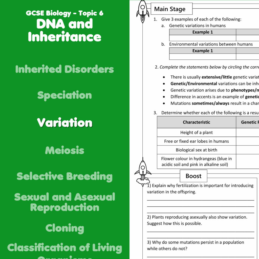 Variation Home Learning Worksheet GCSE Rocketsheets co uk