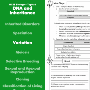 Variation Home Learning Worksheet GCSE Rocketsheets co uk