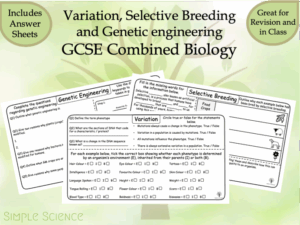 Variation Selective Breeding And Genetic Engineering GCSE Biology