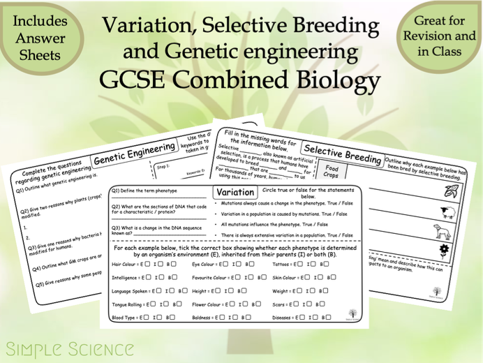 Variation Selective Breeding And Genetic Engineering GCSE Biology