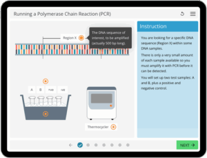 Virtual Lab Simulation Biology Smart Worksheets LearnSci