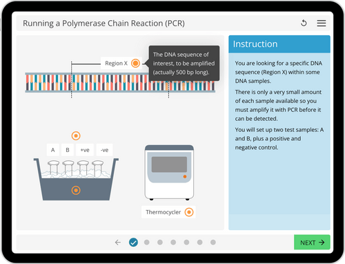 Virtual Lab Simulation Biology Smart Worksheets LearnSci