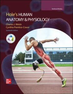 Welsh Hole 39 s Human Anatomy And Physiology 2022 16e Student Ed