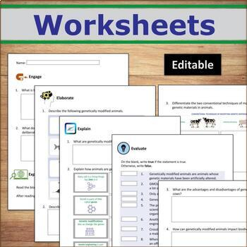 What Are Genetically Modified Animals Earth Science Worksheet PDF 