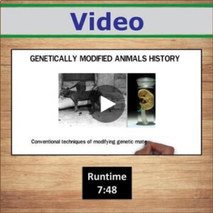 What Are Genetically Modified Animals Earth Science Worksheet PDF