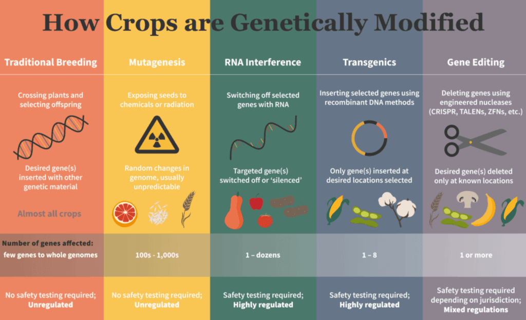 What Are GMOs Genetic Literacy Project