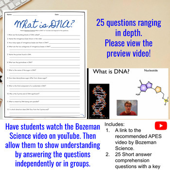 What Is DNA Comprehensive Genetics Worksheet Bozeman Science TPT