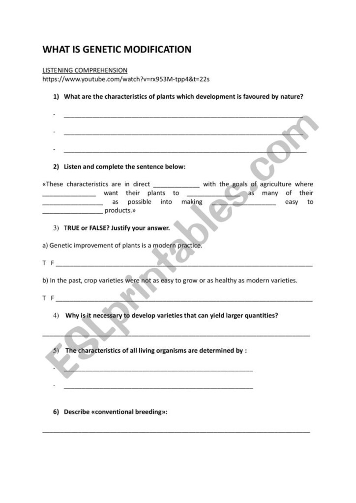 What Is Genetic Modification ESL Worksheet By Bambook